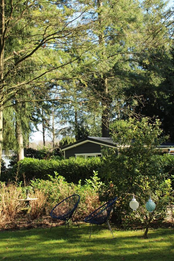 Sfeervol Vakantiehuisje In Bosrijke Omgeving Vorden Exterior foto