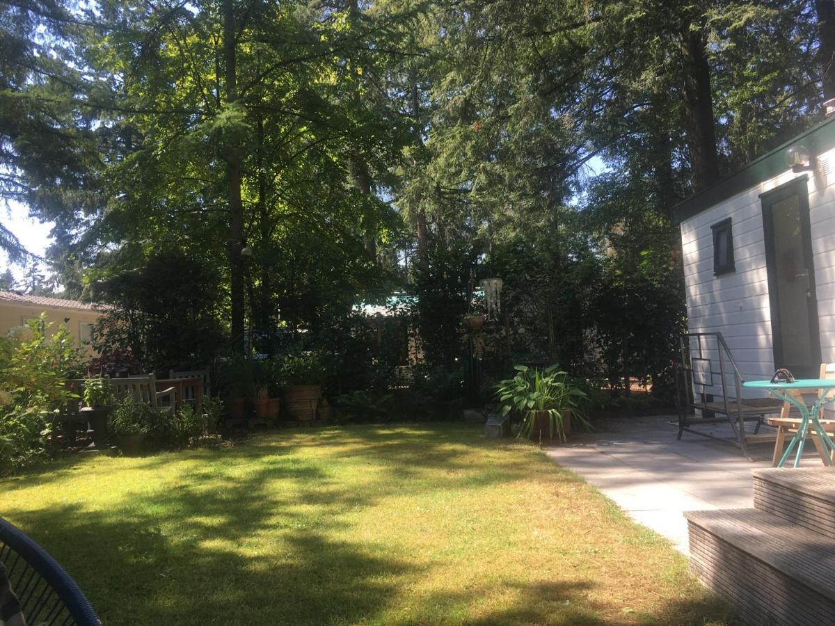 Sfeervol Vakantiehuisje In Bosrijke Omgeving Vorden Exterior foto